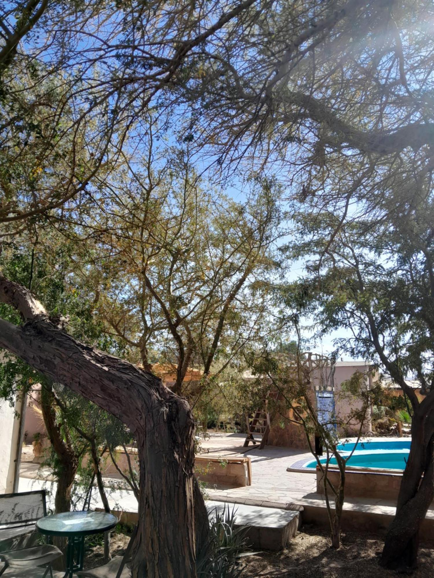 Hotel-Camping Takha Takha San Pedro de Atacama Buitenkant foto